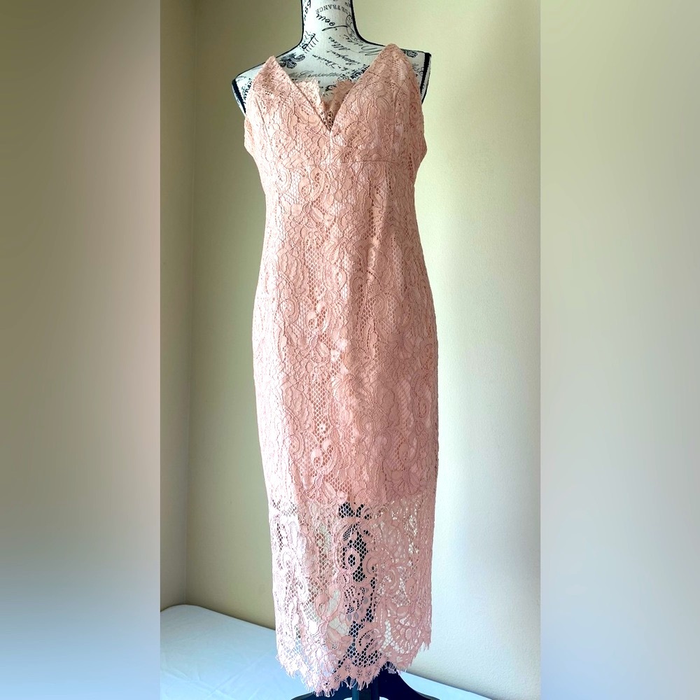NWT BARDOT Rose Lace Pencil Dress Size 10/L Org $129